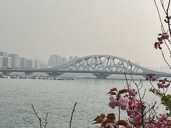 -星光岛