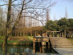肖甸湖-同里国家湿地公园