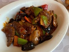 -金蝉食府(维吉奥广场店)