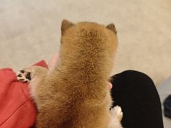 -宠颐生汉谟拉比宠物医院