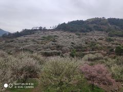 -福建天门山