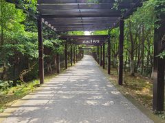 -九龙潭景区