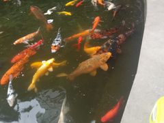 -温江公园