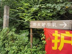 门面-周大娘牛乳(旧寨古村总店)