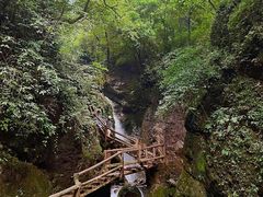 -青城山