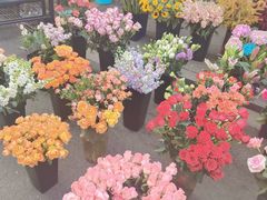 -循礼门鲜花花市(武汉循礼门店)