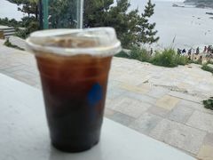 -海岛日记(养马岛店)