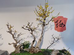-颐和园