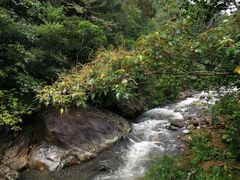 -广州市石门国家森林公园