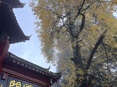 -青城山