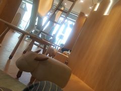-猫的天空之城概念书店(北戴河蔚蓝海岸店)