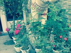 -大耳象东南亚风情餐厅(月湖公园店)