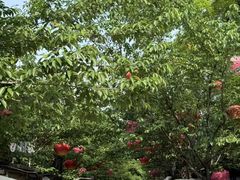 -回龙窝历史文化街区