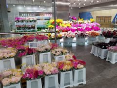 -盒马X会员店(王府井奥莱UP TOWN店)