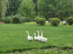 -中家鑫园温泉酒店鑫悦汤泉