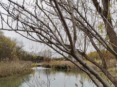 -昆山城市生态森林公园