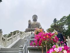 -天坛大佛