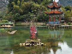 -靖西鹅泉风景区
