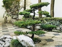 -全季酒店（苏州观前街平江路店）(原临顿路地铁站店)