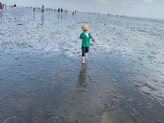 -南汇嘴观海公园