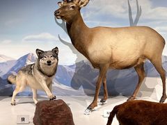 -陕西自然博物馆