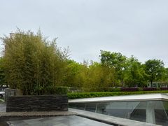 -复旦大学附属华山医院(浦东院区)