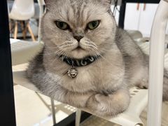 -Oasis绿洲银饰珍珠手作diy(壹方城店)