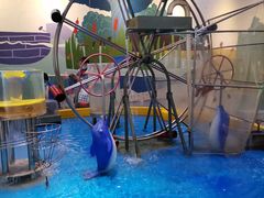 -中国杭州低碳科技馆