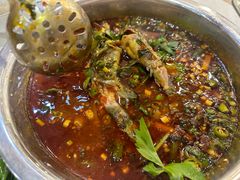 -高坎一品甲鱼庄(两河店)