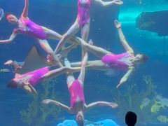 -泉城欧乐堡海洋极地世界