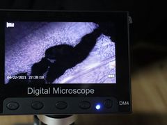 -上海昆虫博物馆