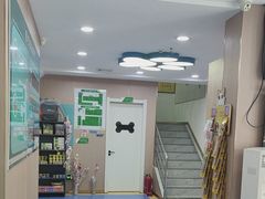 -天使宠物医院·犬猫分诊(彩虹店)