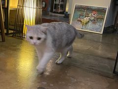 -咖法森林·咖啡  酒吧(天河店)