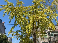 -必胜客(桐乡吾悦广场店)