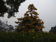 -塔子山公园