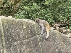 -姑婆山旅游区