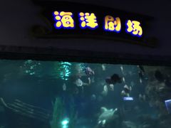 -南昌海洋公园