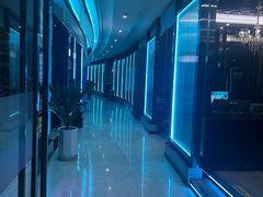 -绿树电竞(五路店)