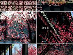 -望江楼公园