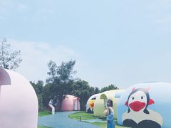 -漳州滨海火山岛自然生态风景区