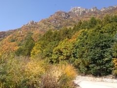 -白草畔自然风景区