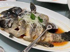 -一麦·龙岛(上海青浦店)