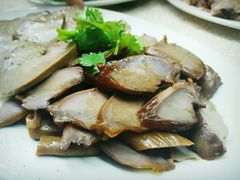 -乌文新澄海卤鹅店