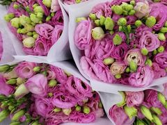 -三圣花乡旅游区