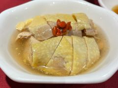 -老吉士酒家(天平路店)