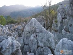 -千岛湖石林
