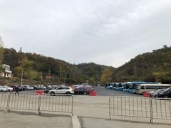 -千年银杏谷文化旅游区