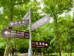 -灵谷景区