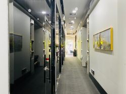 -DEM缔怡美科技美容