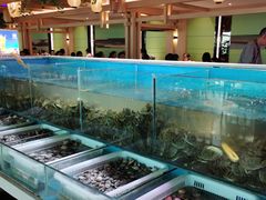 -碧水豪园·足浴·SPA·汗蒸·那须汤泉(中山东路店)